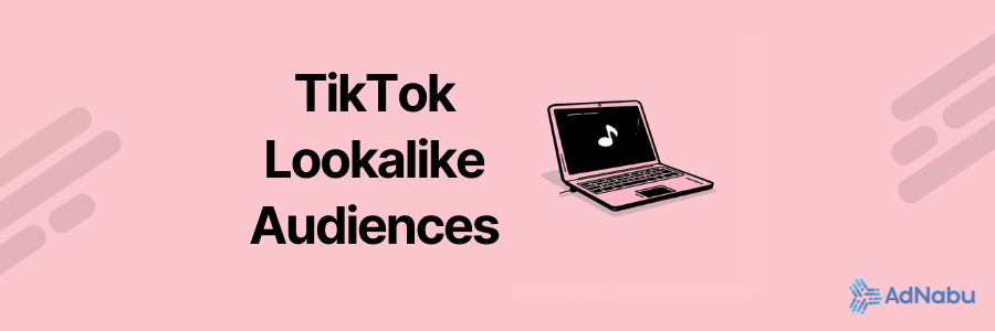 TikTok Lookalike Audience Campaign Results